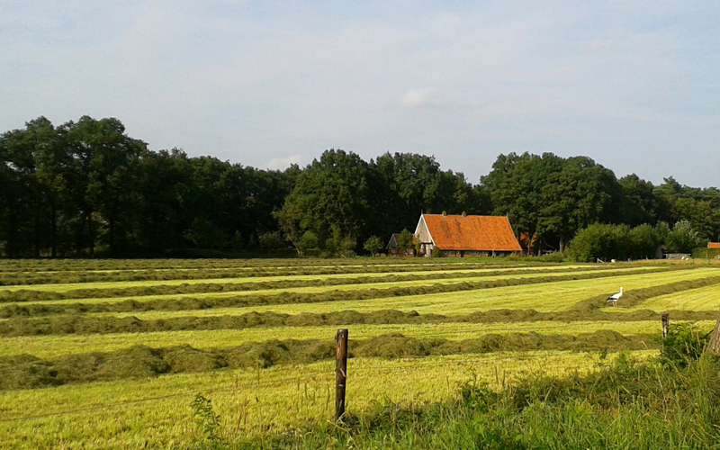 Radtour Watermolen Bels (NL) · Ferienwohnung Grafschaft